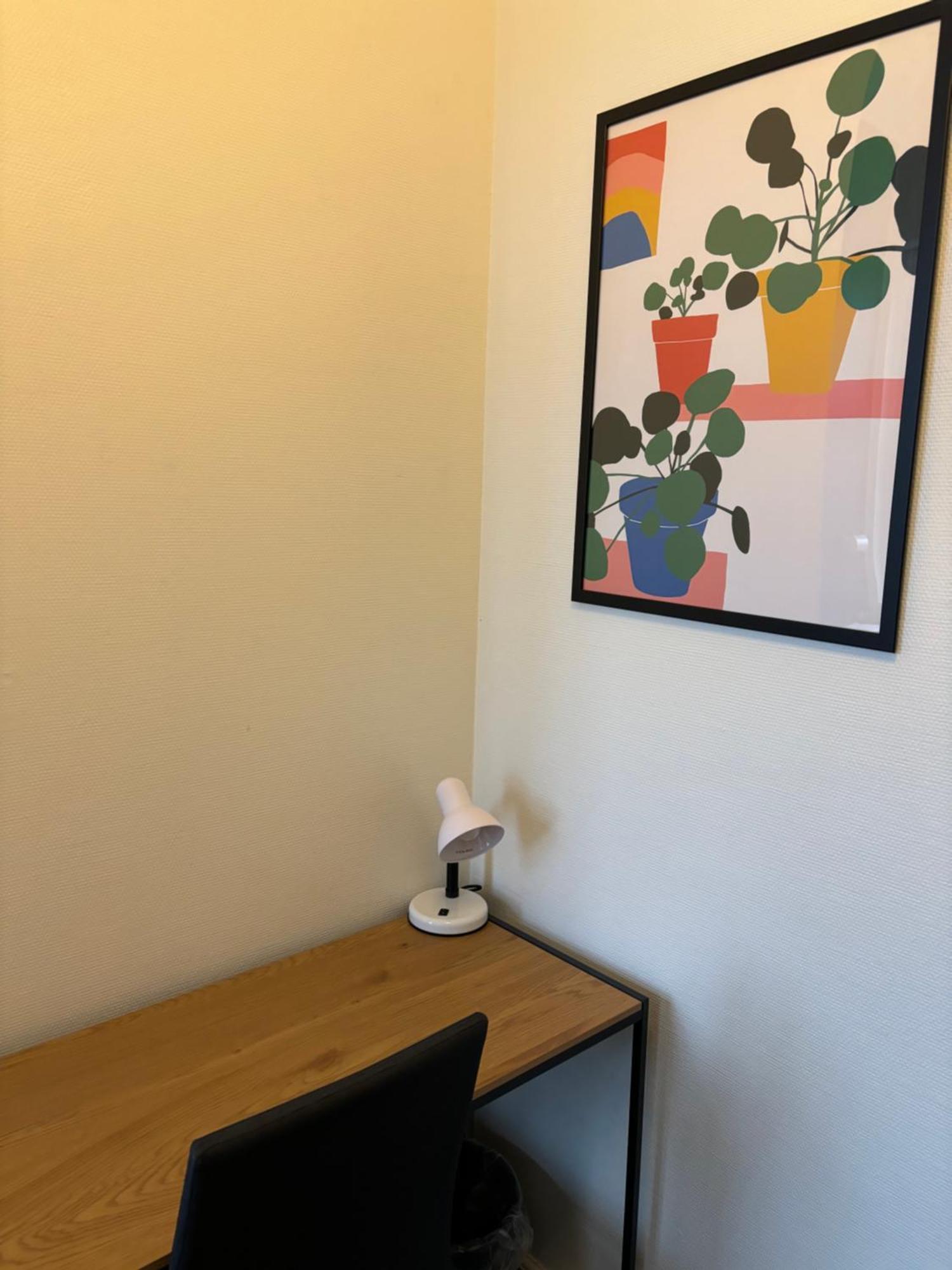 Danhostel Odense City Luaran gambar A Google Home Hub